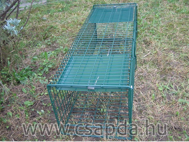 Macska csapda 1000x250x225mm, 2 ajtós, gyorsítórugós Macska csapda 1000x250x225mm, 2 ajtós, gyorsítórugós