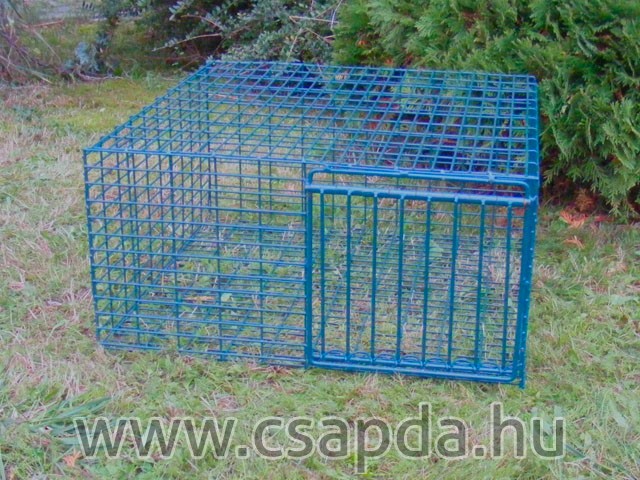 Galamb csapda - 1 ajtós (450x400x200mm) Galamb csapda - 1 ajtós (450x400x200mm)