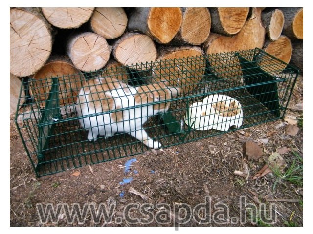 Macskacsapda 1000mm, 2 ajtós Macskacsapda 1000mm, 2 ajtós