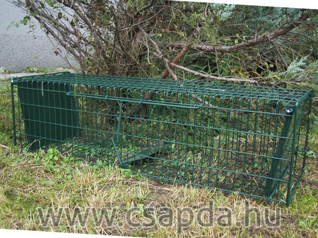 Macskacsapda 1000mm, 2 ajtós, gyorsítórugós Macskacsapda 1000mm, 2 ajtós, gyorsítórugós