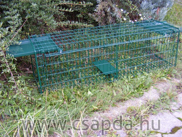 Menyét csapda 800mm, 2 ajtós Menyét csapda 800mm, 2 ajtós