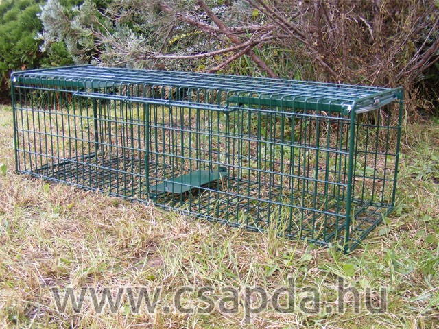 Menyét csapda 1000mm, 2 ajtós, gyorsítórugós Menyét csapda 1000mm, 2 ajtós, gyorsítórugós